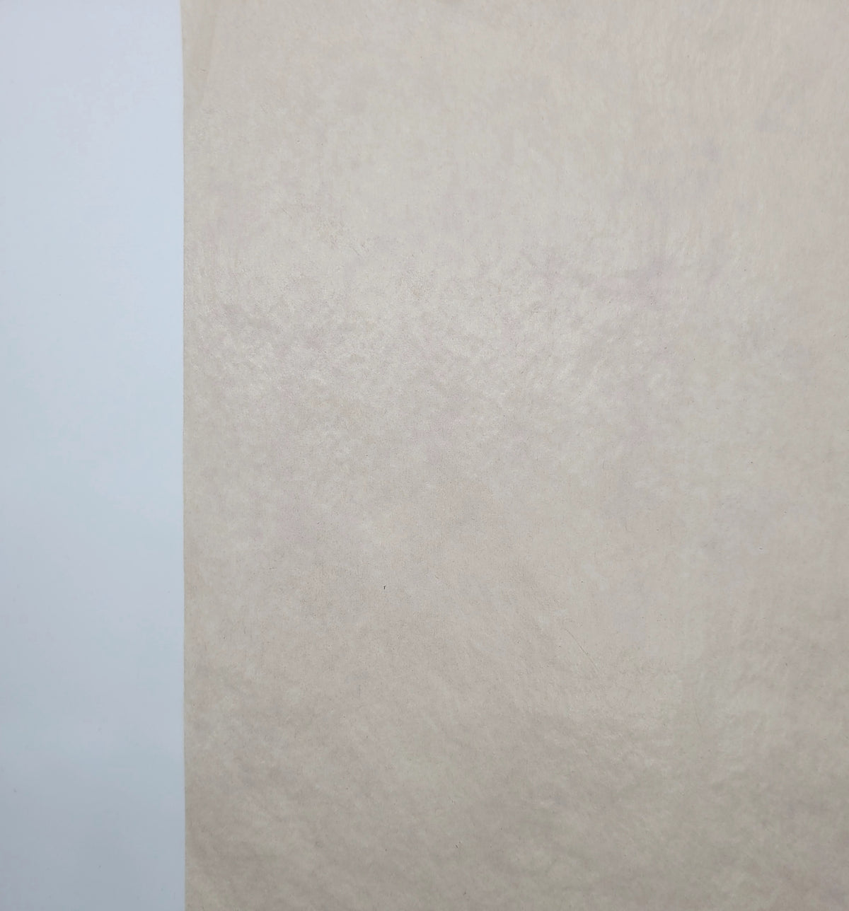 Graphite Paperwhite White Graphite Paper – Painting World Magazine + Surfaces and Supplies
