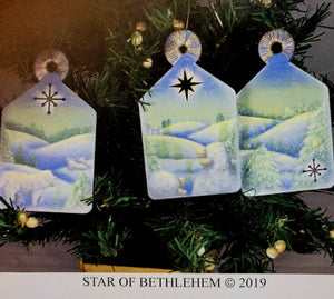 Star of Bethlehem packet by Barbara Bunsey