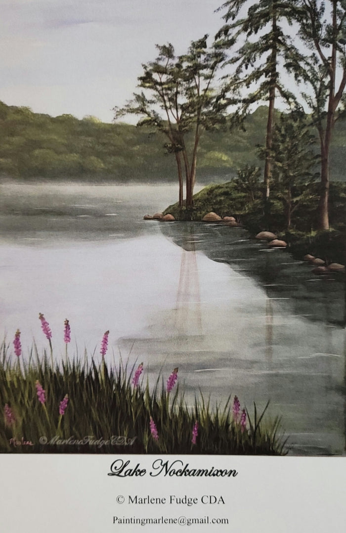 Lake Nockamixon packet by Marlene Fudge