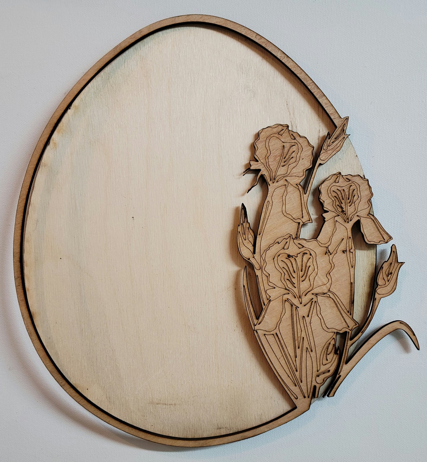 3D Iris Plaque