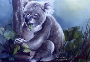 Hungry Koala Packet by Annette Kowalski