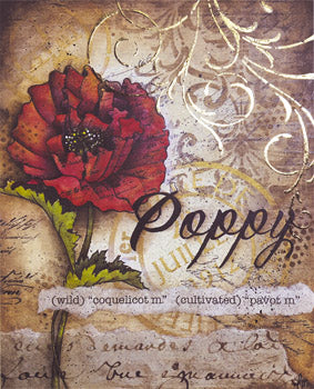 Mixed Media Poppies Packet by Tracy Moreau