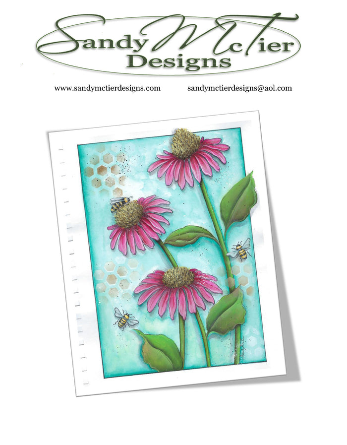 Echinacea Flowers Packet by Sandy McTier